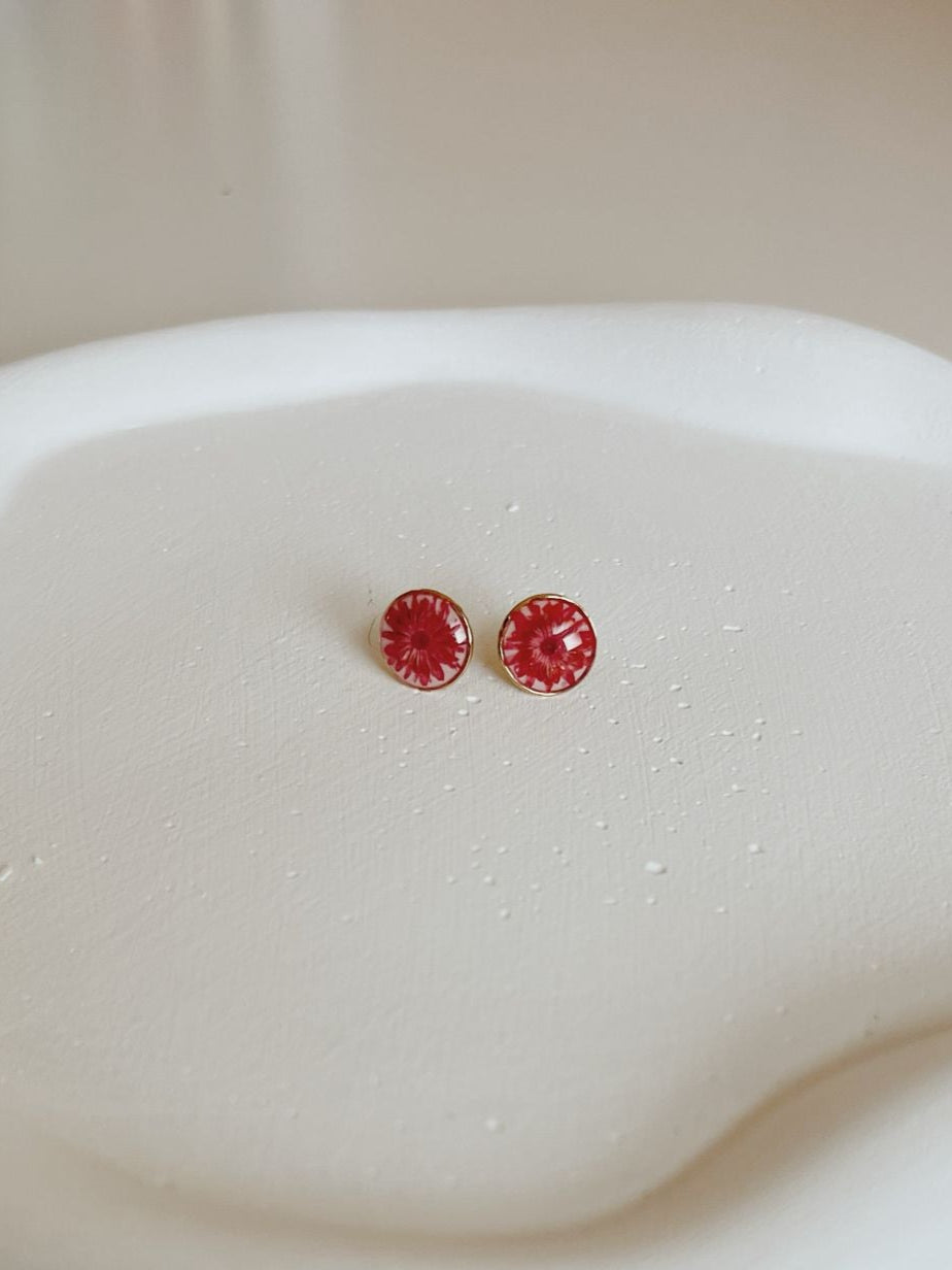 Small red earrings on a white dish with a white background