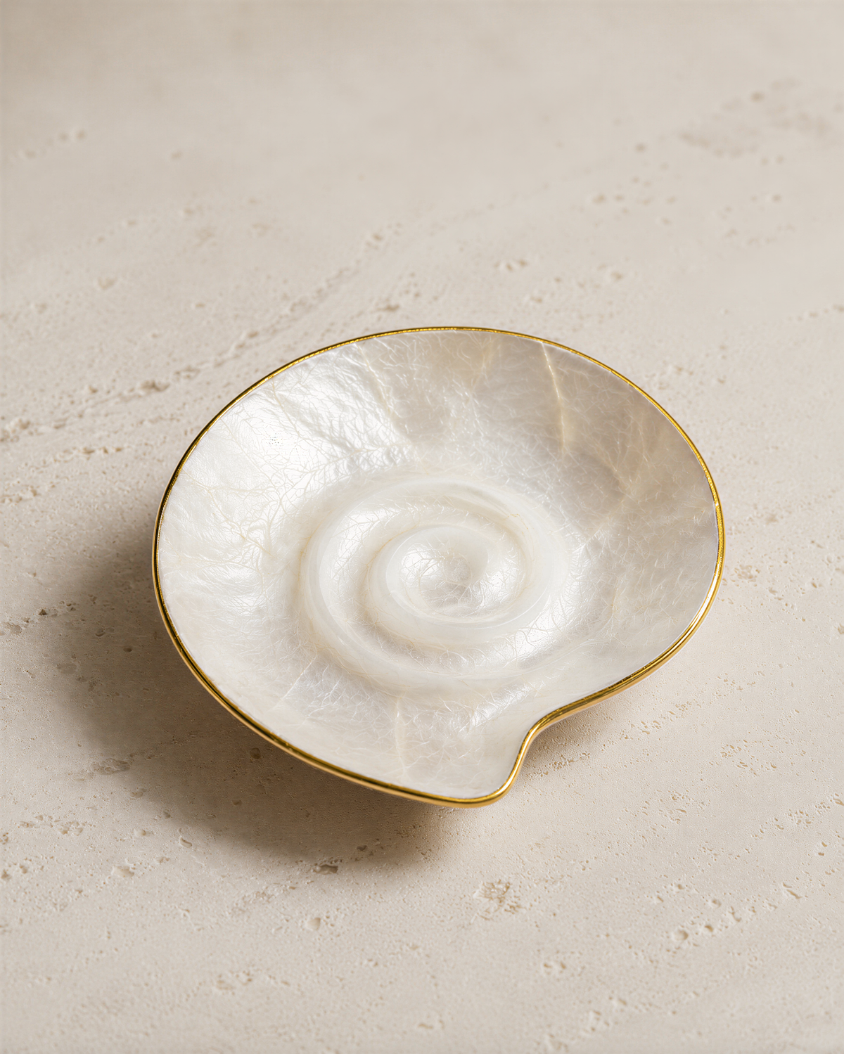A white seashell with a gold rim is shown in the center of the image.