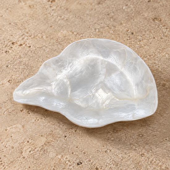 A white seashell rests on a sandy surface.