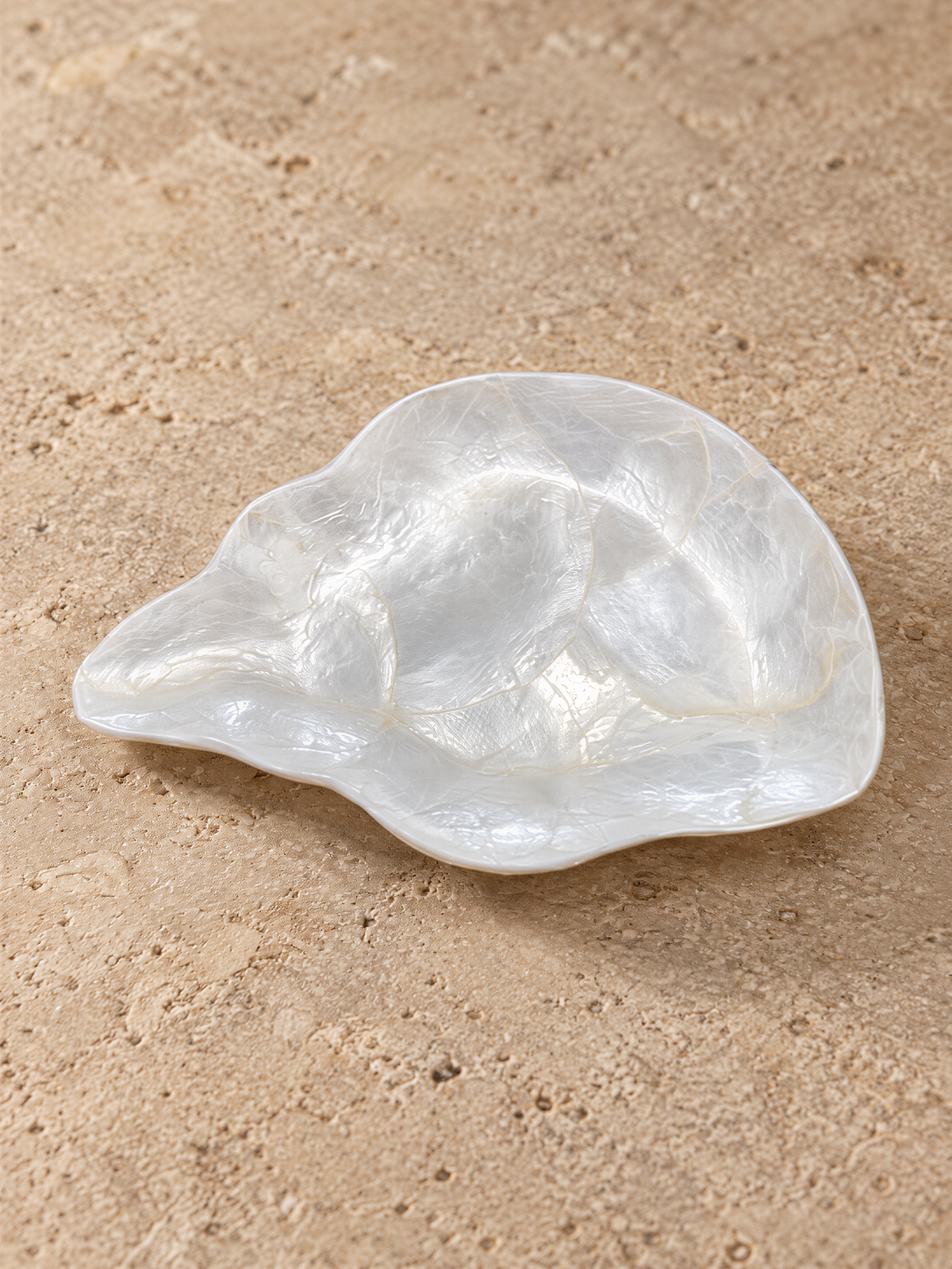 A white seashell rests on a sandy surface.