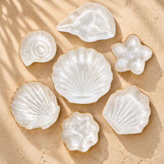 seven white seashell-shaped bowls arranged on a sandy surface, with a shadow cast on the sand.
