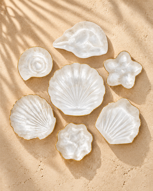seven white seashell-shaped bowls arranged on a sandy surface, with a shadow cast on the sand.