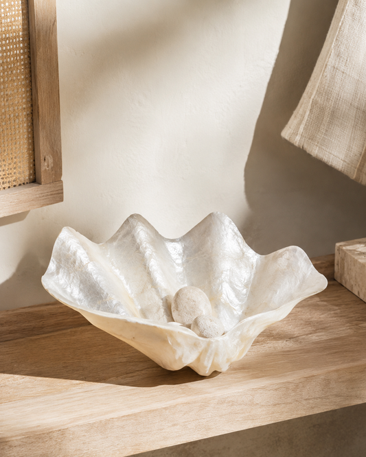 Clam Shell Bowl