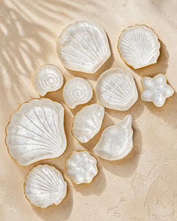 Mother of Pearl Accent Dishes