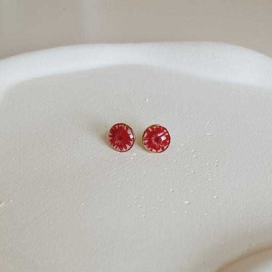Small red earrings on a white dish with a white background