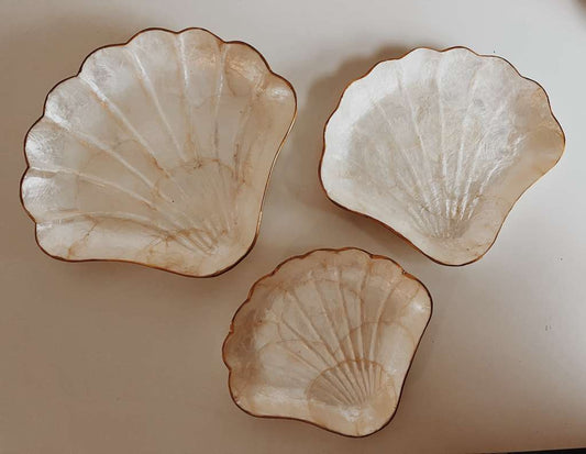 Mother of Pearl Scallop Catch All Set of 3