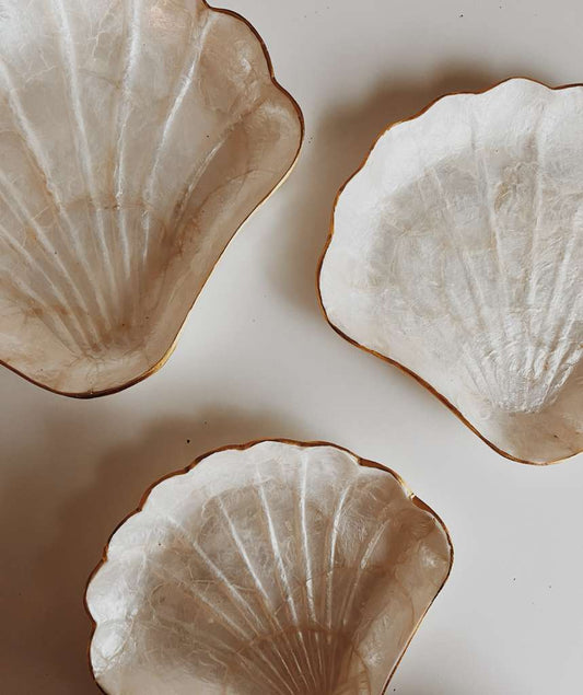 Mother of Pearl Scallop Catch All Set of 3