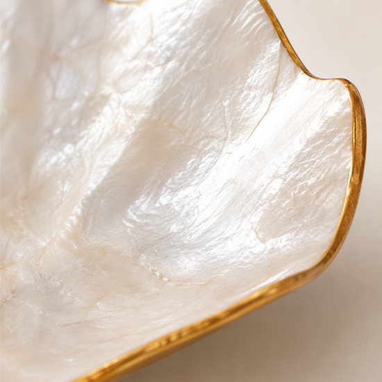 A close-up image of a white seashell with a gold rim, showcasing its intricate texture and design.
