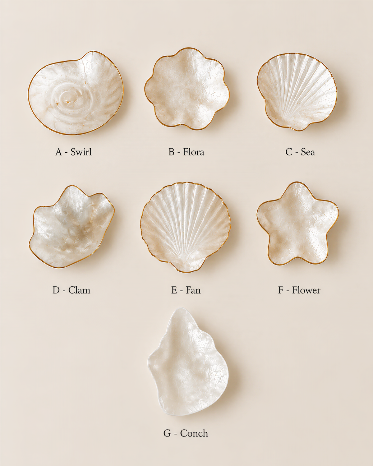 a collection of seven different types of seashells, each with unique shapes and sizes, arranged in a grid-like pattern.