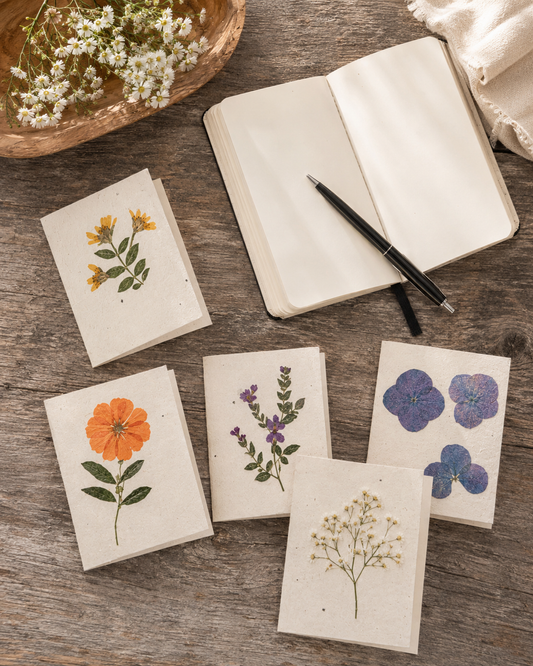 Pressed Flower Greeting Card Set of 5
