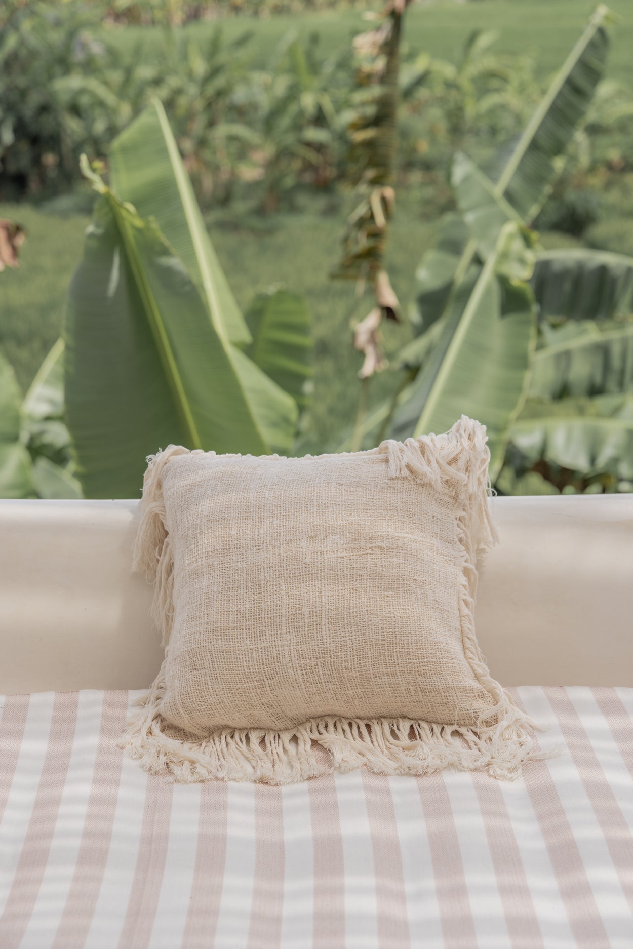 Organic Cotton Throw Pillows