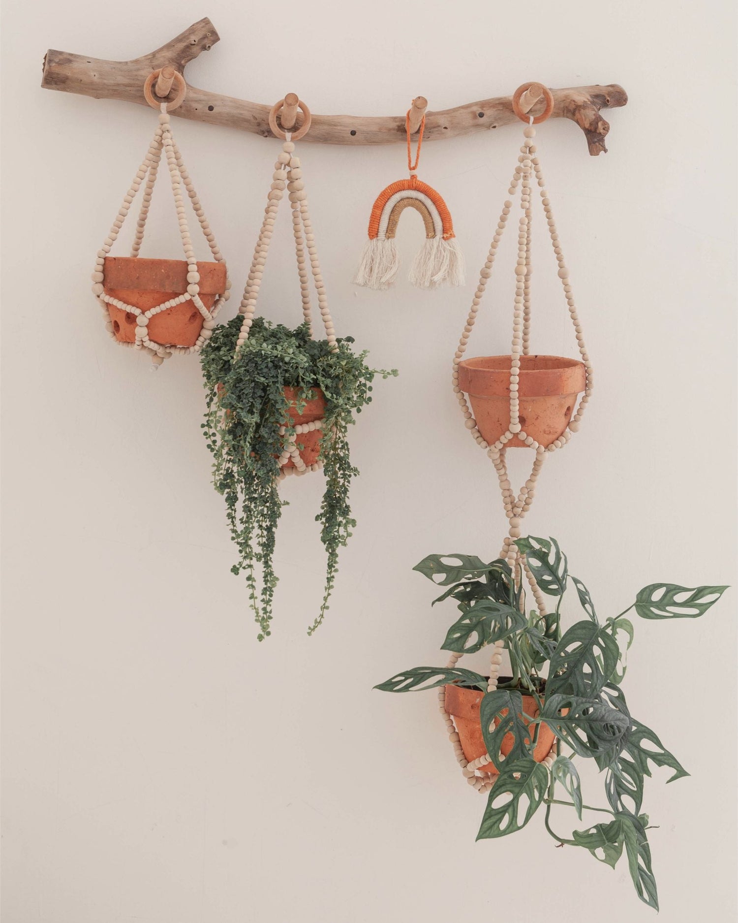 A Little Treat: 20% OFF