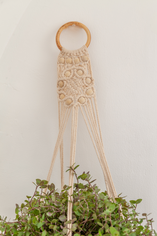 Flora Wall Plant Hanger