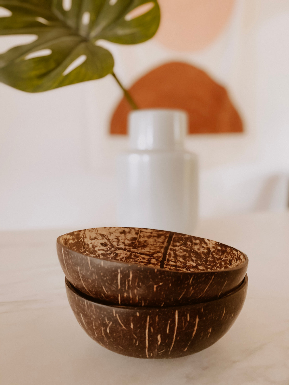 Coconut Bowl Set handmade by Village Thrive using natural materials.