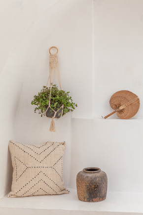 Flora Wall Plant Hanger