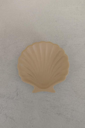 Stucco Shell Trinket Tray