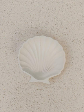 Stucco Shell Trinket Tray